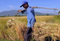 Coalition Calls on UN Expert to Investigate Claims of State-Backed Land Grabs in Cambodia