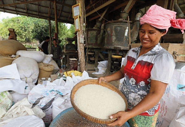 The Role of Women in Cambodia